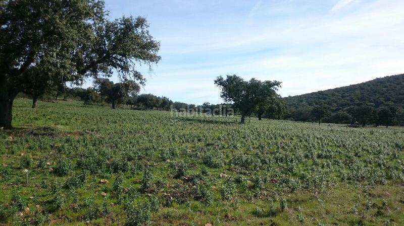 Foto a4f5a455-42b8-436a-a0ee-b916f0d366d4. Finca rústica terreno en venta en san vicente de alcantara cáceres en Salorino