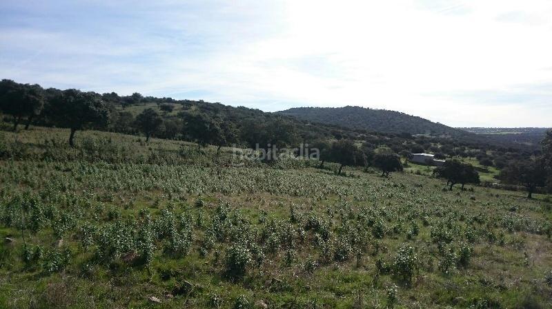 Foto ad8173c1-4f7b-42a4-a3cd-223a7cb2e725. Finca rústica terreno en venta en san vicente de alcantara cáceres en Salorino