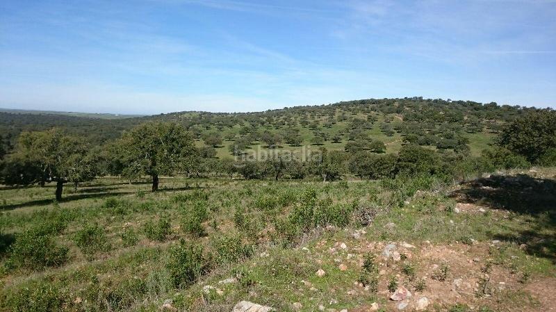 Foto bf912c75-d440-411d-918d-aa4c72dedbf3. Finca rústica terreno en venta en san vicente de alcantara cáceres en Salorino