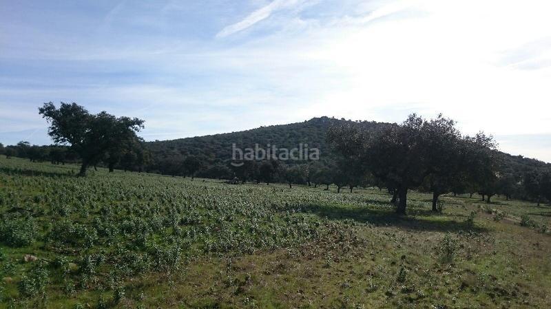Foto c11c25a6-4c4a-4275-99eb-a7e9afd2fa62. Finca rústica terreno en venta en san vicente de alcantara cáceres en Salorino