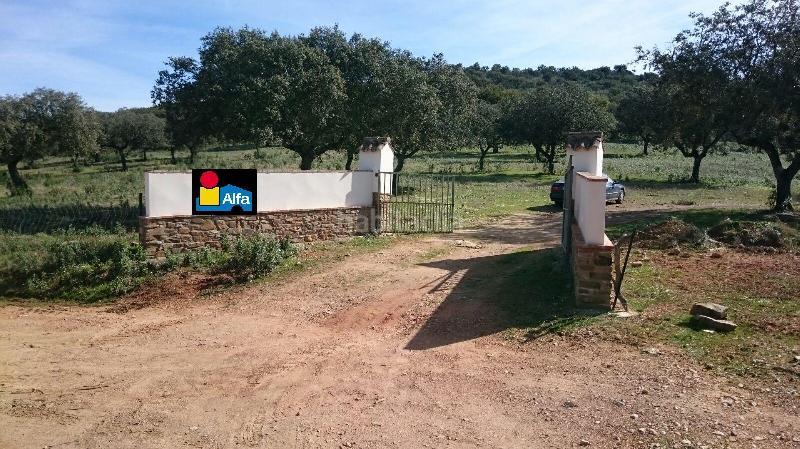Foto d1b305d9-a328-4b06-a9b4-aa8f55a066a4. Finca rústica terreno en venta en san vicente de alcantara cáceres en Salorino