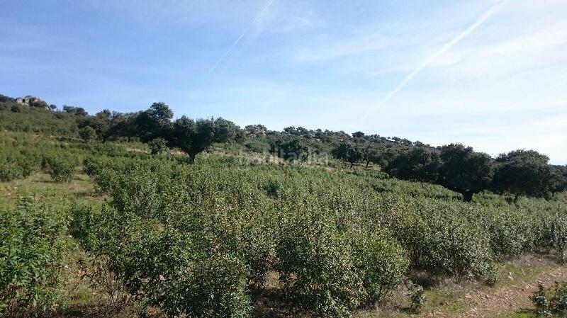 Foto f18154cd-e6e4-47a6-9baa-56f46898c1b6. Finca rústica terreno en venta en san vicente de alcantara cáceres en Salorino