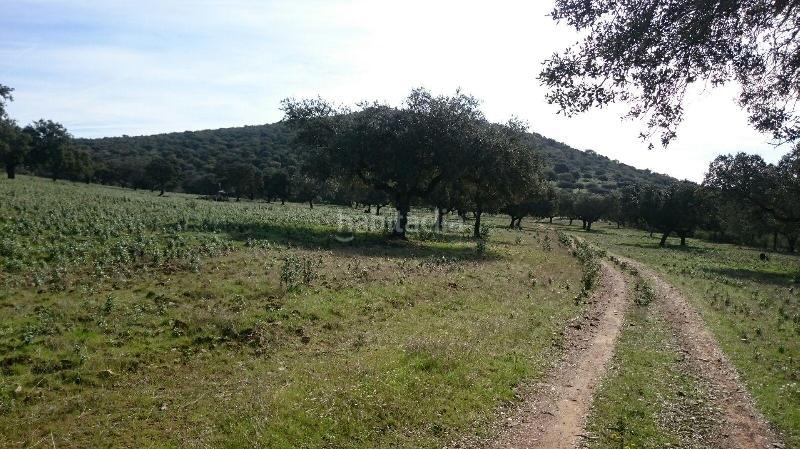 Foto f2fd5d07-ae74-479a-a3ce-f1dbf0ed4367. Finca rústica terreno en venta en san vicente de alcantara cáceres en Salorino