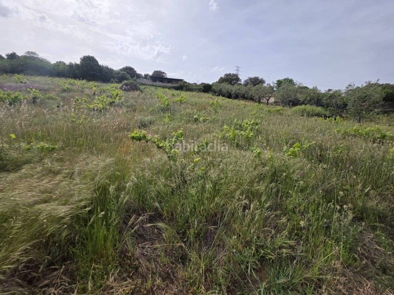 Foto 2d011ac9-6c99-4275-b96d-6270816f1598. Finca rústica a Malpartida de Plasencia