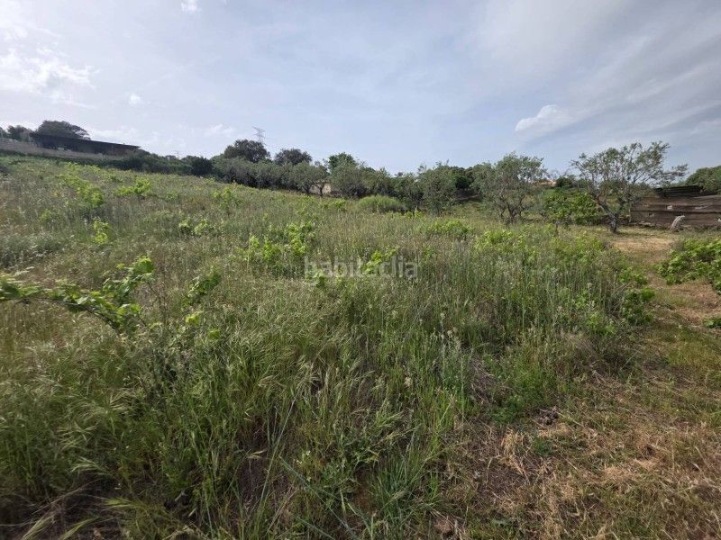 Foto 59c3df54-221b-4501-9885-913841934f2b. Finca rústica a Malpartida de Plasencia