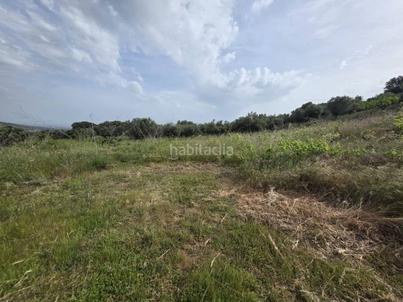 Foto 74e79b86-ae95-485b-8cde-a44a3e7fc11d. Finca rústica a Malpartida de Plasencia