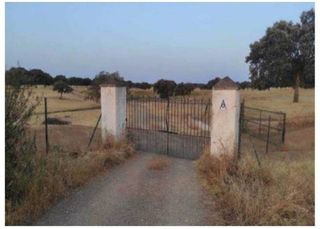Fondo rustico in Membrío. Terreno en venta en cc126  membrío cáceres