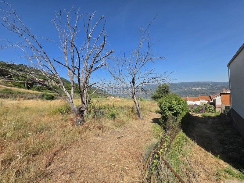 Foto c0995724-1c8e-41d9-9dba-cbc6816224b4. Terreny residencial a Torno (El)