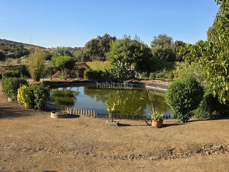 Foto b9ad3d73-1408-4daa-a63c-97eb78995d98. Xalet amb piscina a Malpartida de Plasencia