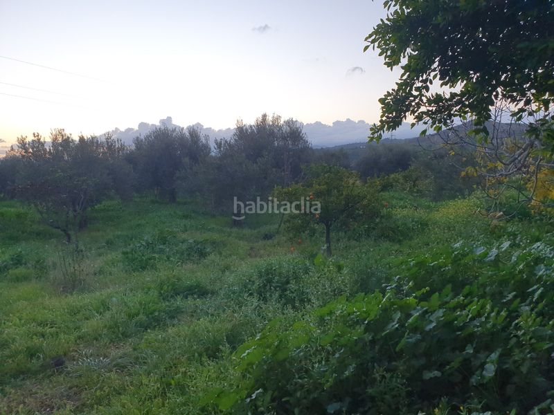 Foto 0d7983e1-f507-4324-bfff-ae183d077671. Casa amb xemeneia piscina a Álora