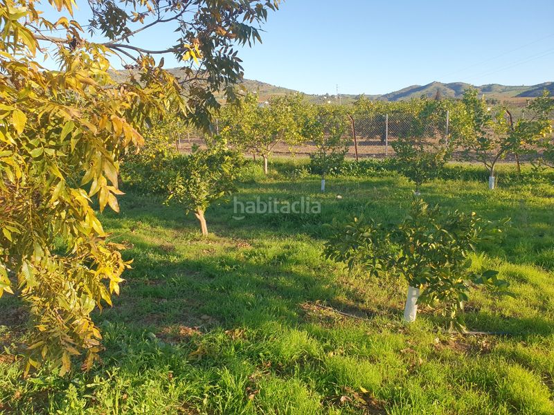 Foto 62fbad24-dceb-45be-abf3-d4109990279b. Casa amb xemeneia piscina a Álora