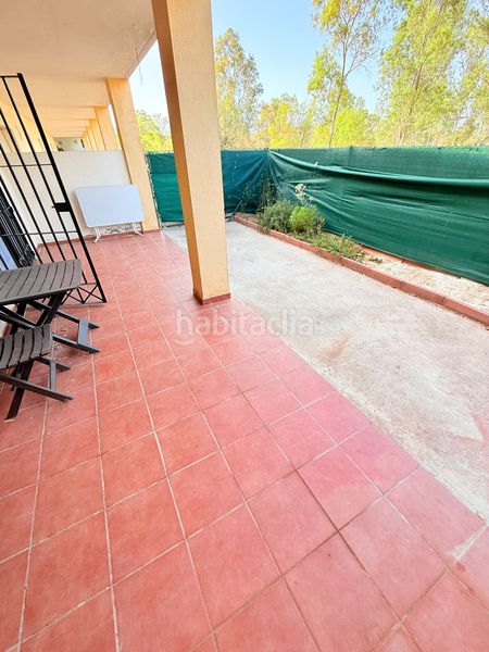 Foto 344157f4-02ad-46c3-ae27-92071af9fb06. Pis a Pizarra