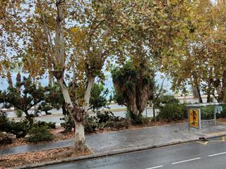 Miete Etagenwohnung in Limonar. Luminoso piso con vista al mar en alquiler