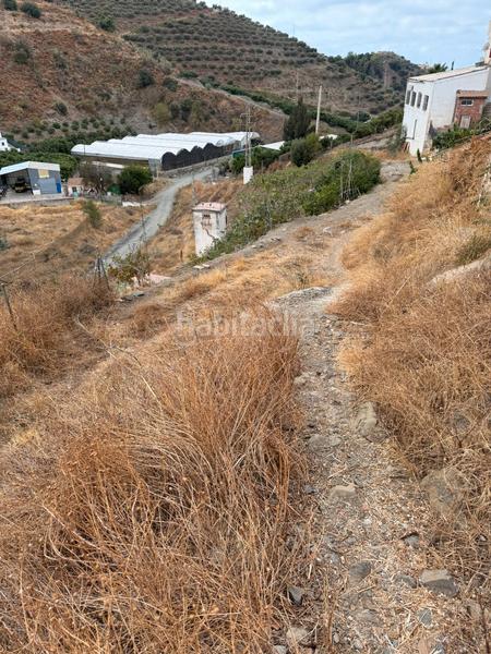 Foto 1d03e304-7582-442a-8a54-635ffbdf0bb7. Finca rústica a Benagalbón Rincón de la Victoria