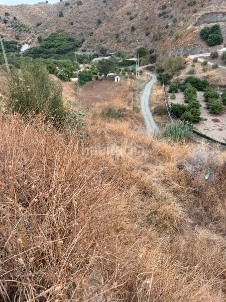 Foto 2ad73a25-9cc8-4f52-ae6a-0664cc2b1d90. Finca rústica a Benagalbón Rincón de la Victoria