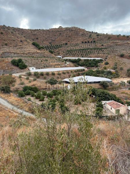 Foto 57ee70fa-dcf4-429e-92e9-f15ee1529bd8. Finca rústica a Benagalbón Rincón de la Victoria