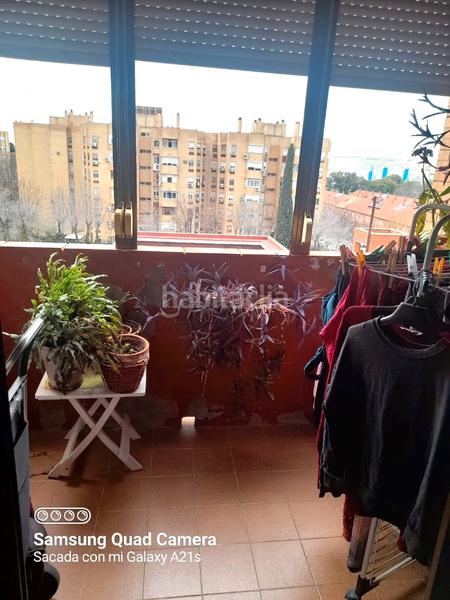 Foto 156610b7-0b5d-4496-9e43-5f61c506d2c3. Pis a colores - entreparques Sevilla