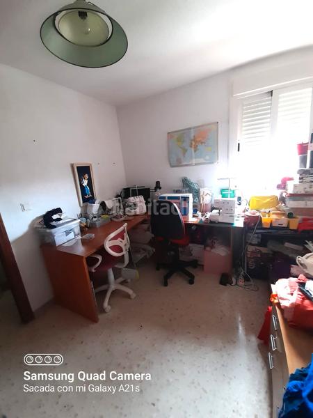 Foto 15a426ad-44ab-438f-a71c-bdf9c0d6a8f1. Pis a colores - entreparques Sevilla