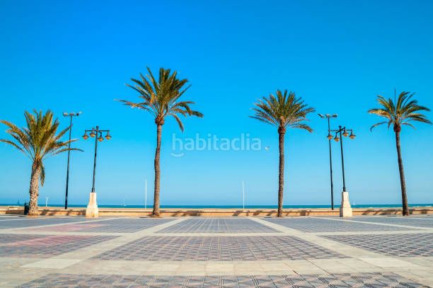 Foto 5309c231-7f18-4ff8-a402-d927309f5cc1. Pis a Malva Rosa Valencia