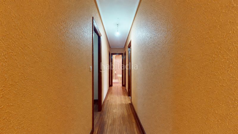 Foto ab6d1582-6982-4551-8cc2-686b7d86b852. Pis a Alonsotegi