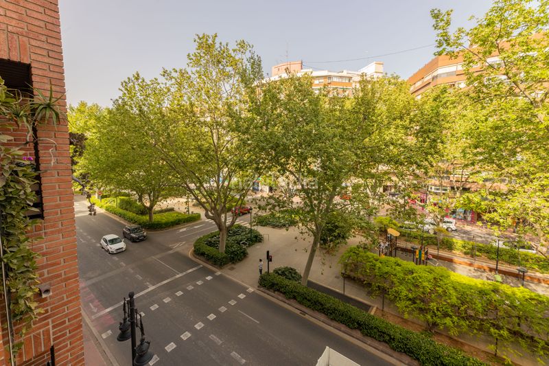 Foto 18005955-bb89-40e7-a01c-90f1db4fa336. Pis a La Petxina Valencia