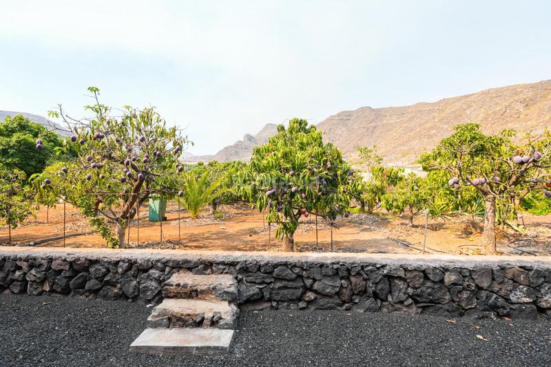 Foto 68669ccd-b199-41e9-847f-a6149ff70290. Chalet con parcheggio in Tamaimo - Arguayo Santiago del Teide