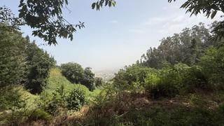 Residential Plot in Los Realejos pueblo