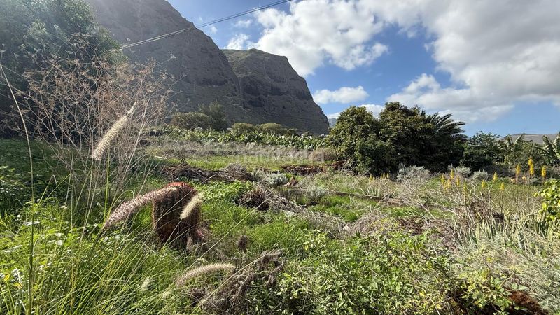 Foto b7f568a4-8daf-4de0-b22f-39a546d22137. Terreny residencial a Garachico