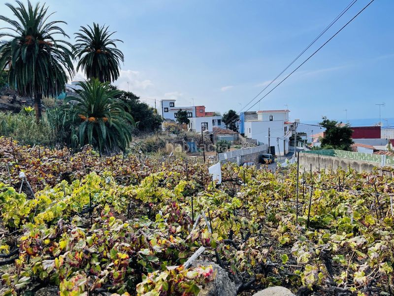 Foto a7500085-6553-41dc-9ab3-aff1691d4eb2. Terreny residencial a La Vera - El Farrobillo - Tosca de Ana María Santa Úrsula