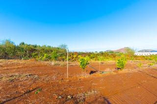 Terreno residencial en Tacoronte - Los Naranjeros