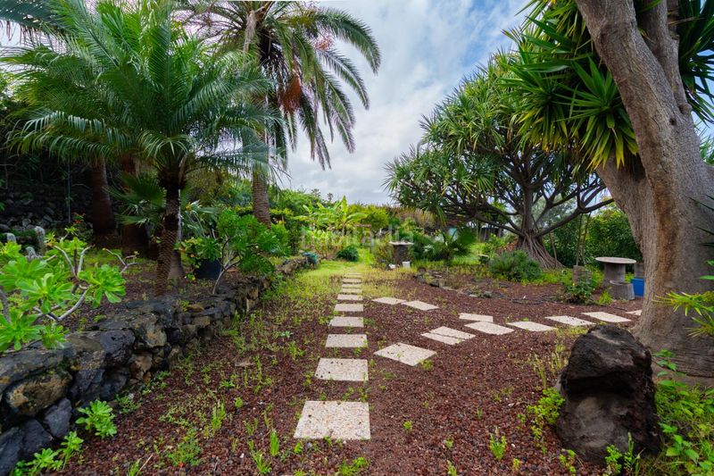 Foto 2554b36a-9a45-4a81-9cfc-b08855b16b72. Xalet amb aparcament a Cuesta de la Villa Santa Úrsula