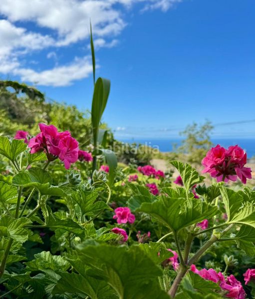 Foto 1c3fbe63-7a9e-44ce-8a72-f279a9b7f60f. Xalet amb aparcament a Santa Bárbara - La Florida Icod de los Vinos