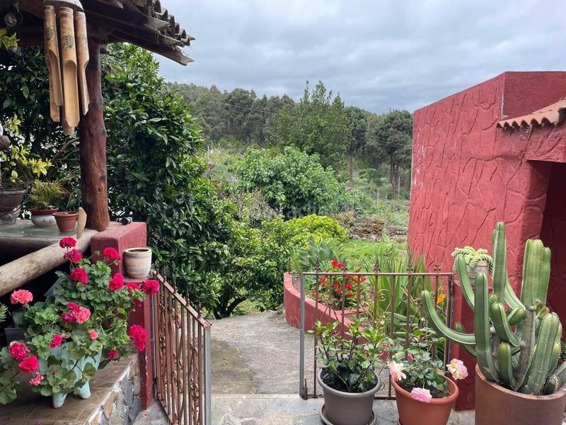 Foto 261176ed-48f7-4630-b424-81a133ca1c67. Xalet amb aparcament a Santa Bárbara - La Florida Icod de los Vinos