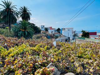 Residential Plot  Calle fuente gonzalo