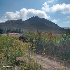 Finca rstica  Camino rincn
