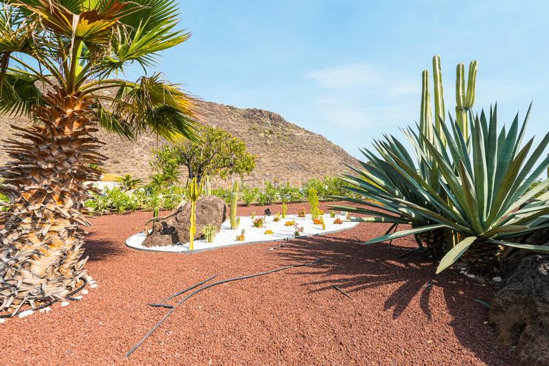 Foto 4ae8a5cf-bd41-4c8b-937e-759ebc13c7e2. Chalet mit parking pool in Tamaimo - Arguayo Santiago del Teide
