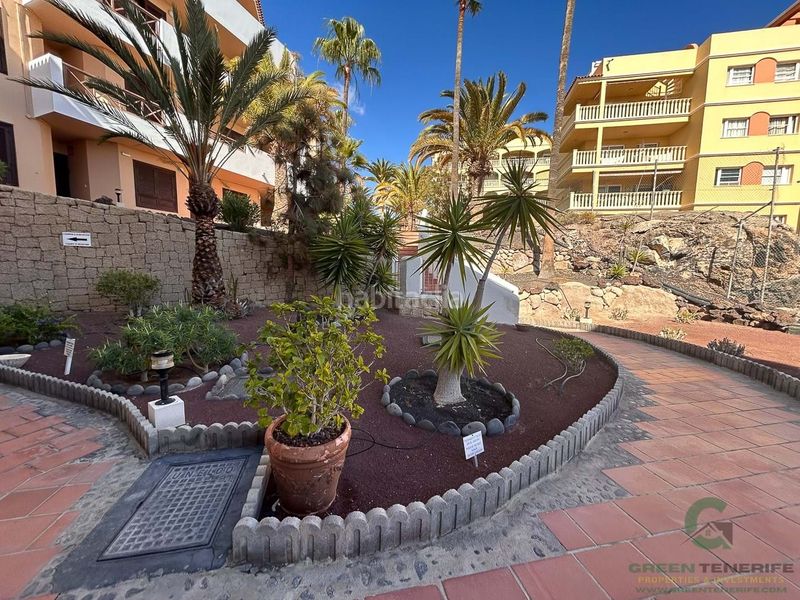 Foto 1a1bdbba-99a8-4e11-93e9-e6807a0719ea. Pis amb piscina a Golf del Sur - Amarilla Golf San Miguel de Abona