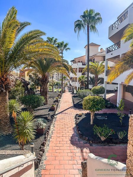 Foto d5a26361-4eb4-40de-8681-960658363b27. Pis amb piscina a Golf del Sur - Amarilla Golf San Miguel de Abona