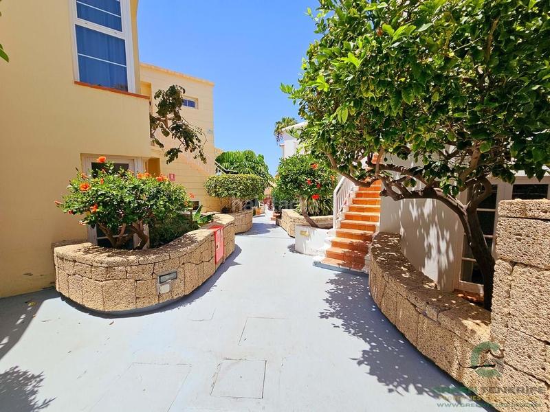 Foto 4c637379-00c0-4100-8d73-cc9dde152015. Casa adossada amb piscina a Playa de Fañabé Adeje