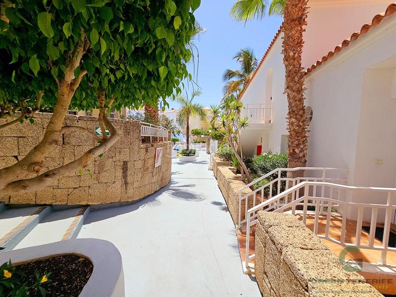 Foto a755688f-7b6a-428d-8e59-924e3b9a84d5. Casa adossada amb piscina a Playa de Fañabé Adeje