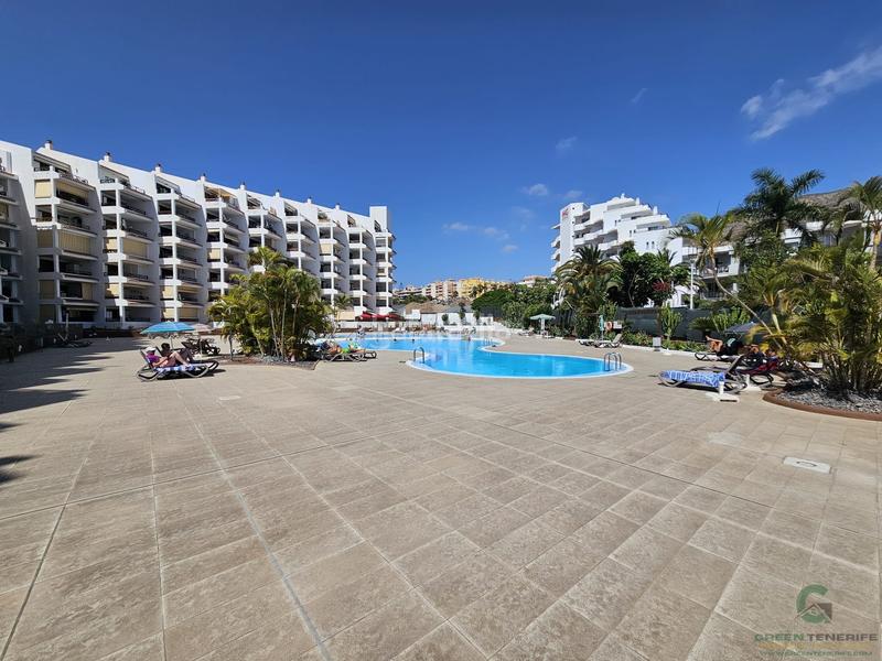 Foto 64590a88-1511-4a3f-a9e8-80a65dfa0a58. Appartement avec piscine dans Los Cristianos Arona