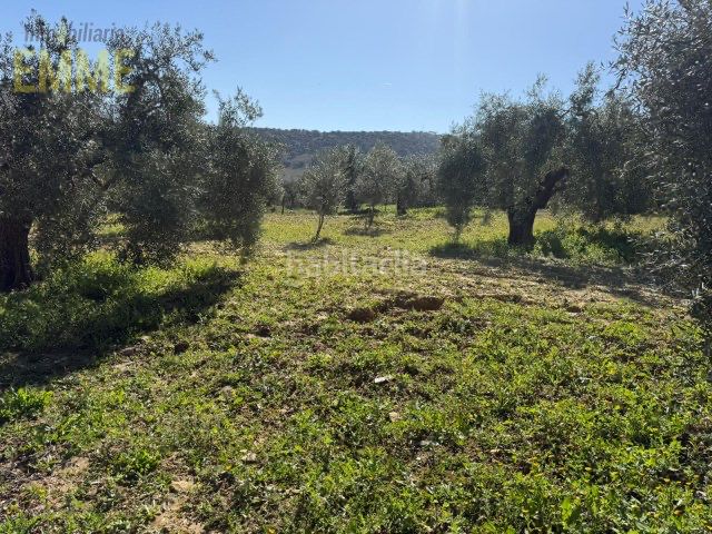 Foto 0b53d500-4b39-41a2-a05a-1f43c402f625. Finca rústica a San Rafael Ronda
