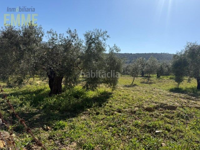 Foto 647f59f8-a75b-4667-8d34-9212873e2402. Finca rústica a San Rafael Ronda