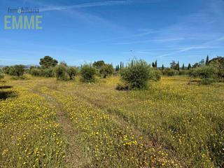 Propriété à Partidas Norte. Preciosa parcela a pocos minutos de ronda
