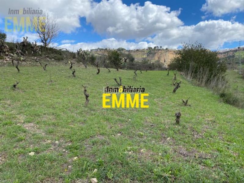 Foto 6f54faf0-51ab-44a6-9c92-294d8e19ad74. Bauernhof in La Ciudad Ronda