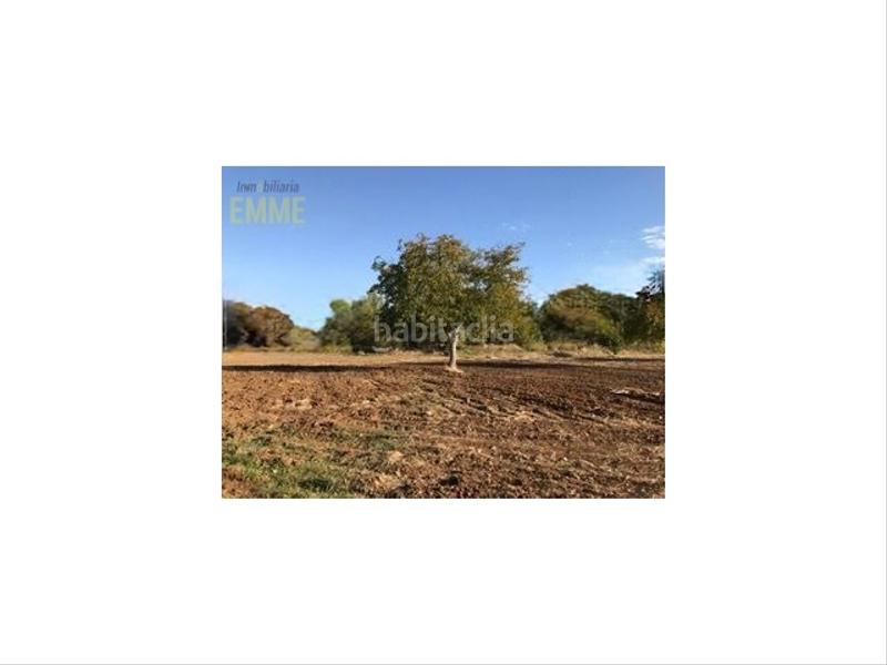 Foto 427a404b-ad17-4f92-9cbf-f16a707741e3. Bauernhof in Partidas Norte Ronda