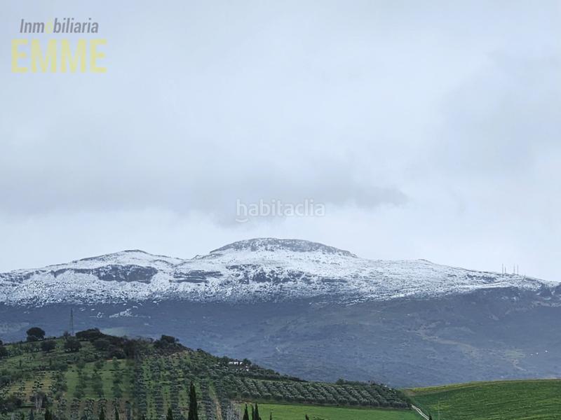 Foto 15b42d78-5fea-4a6a-836d-6ceef8c37ef2. Flat in San Rafael Ronda