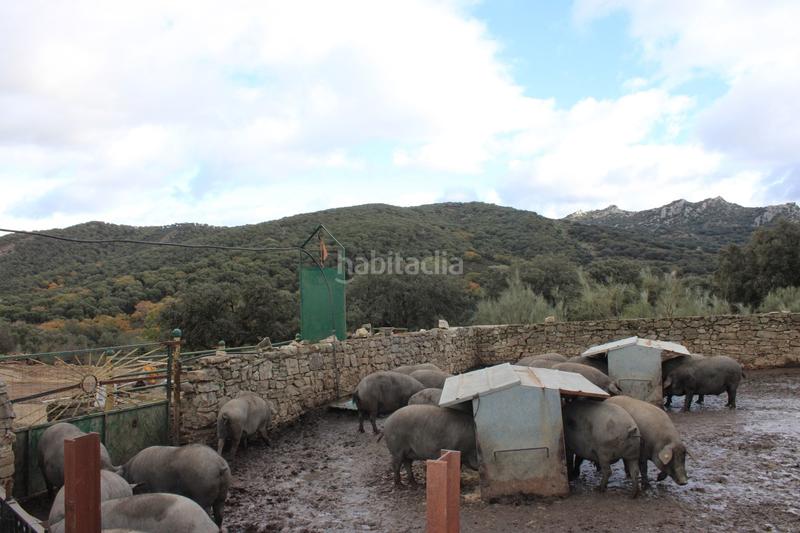 Foto 03dcabbb-84bc-4608-881e-10506533f196. Casa amb aparcament piscina a Montejaque