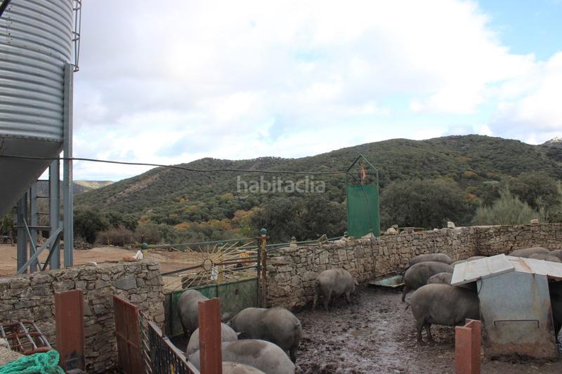 Foto 7d315481-a599-47db-b456-6a3e7bce77c0. Casa amb aparcament piscina a Montejaque