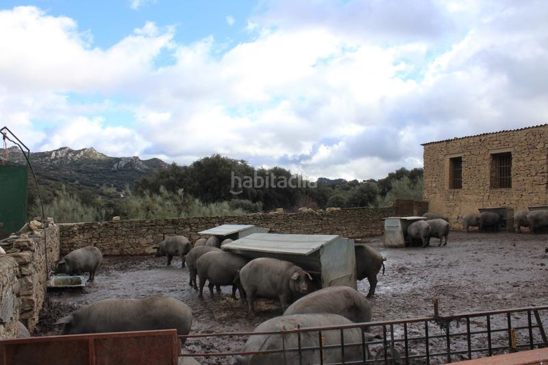 Foto 7fafe79d-6c5a-4e99-8eb8-89a186d2dd55. Casa amb aparcament piscina a Montejaque